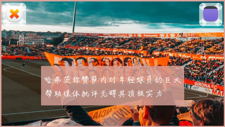 哈弗茨称赞萨内对年轻球员的巨大帮助媒体批评无碍其顶级实力