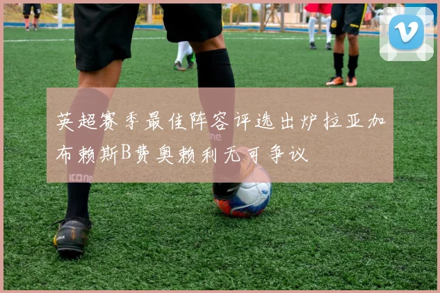 英超赛季最佳阵容评选出炉拉亚加布赖斯B费奥赖利无可争议