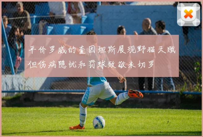 平价罗威的奎因坦斯展现野猫天赋但伤病隐忧和罚球致敬米切罗